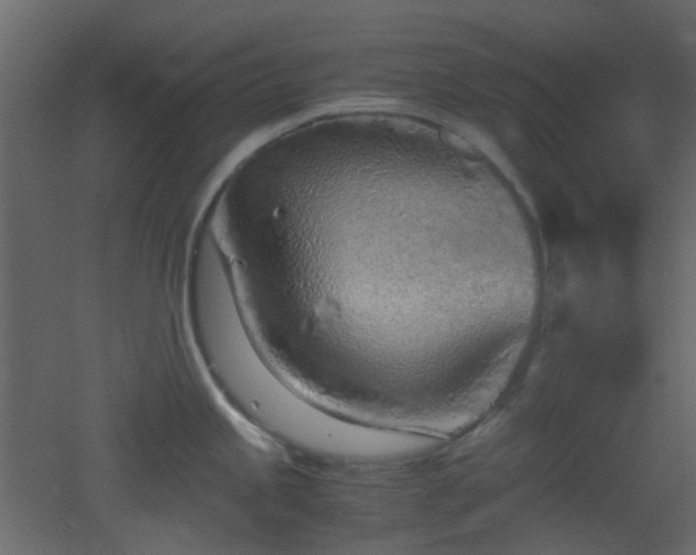 X0000051911245200506241434