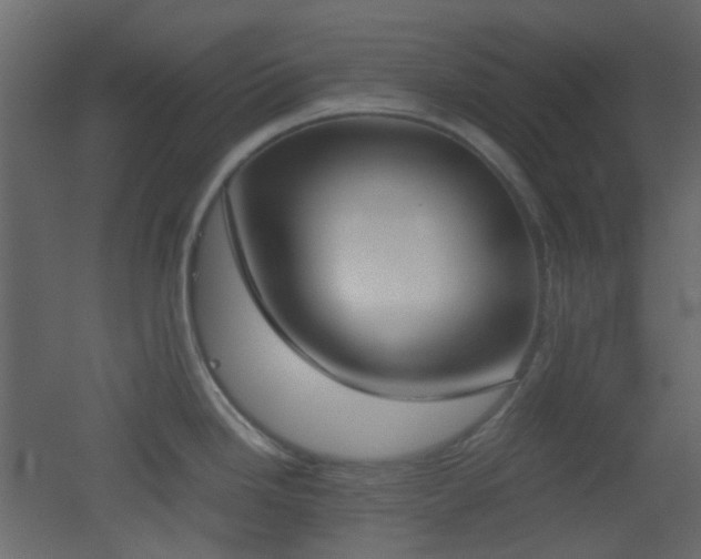 X0000051911246200506241435