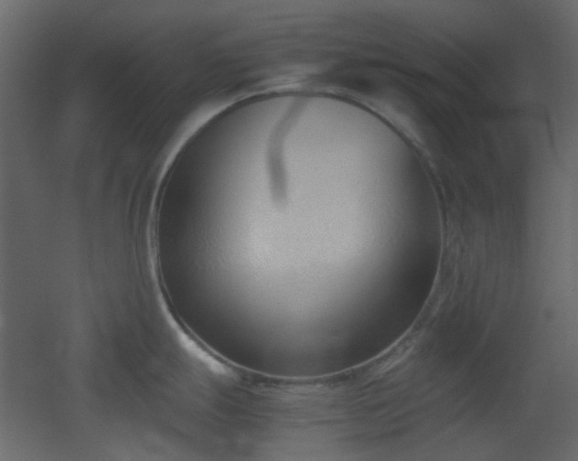 X0000051911247200506241435