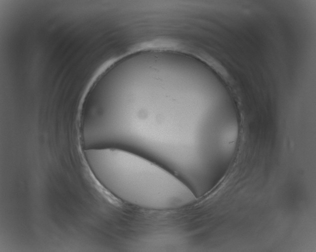 X0000051911248200506241435