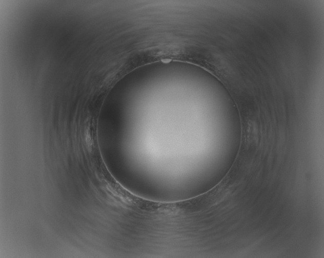 X0000051911250200506241434