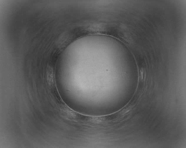 X0000051911251200506241434