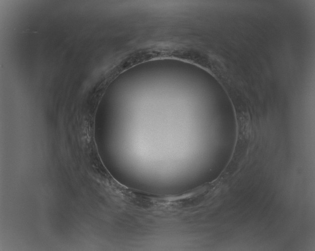 X0000051911253200506241434