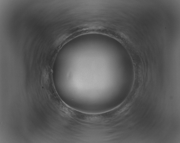 X0000051911257200506241434