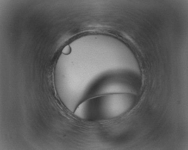 X0000051911259200506241434