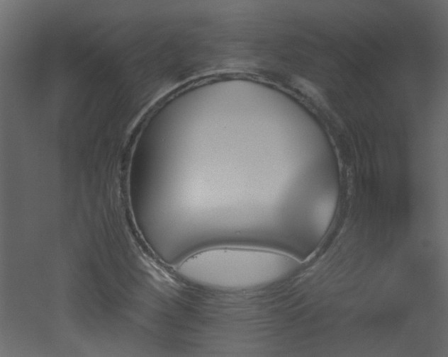X0000051911260200506241434