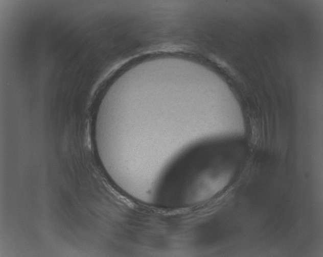 X0000051911262200506241434