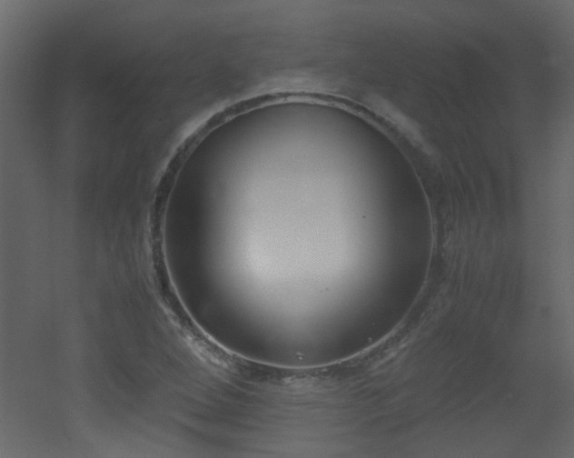 X0000051911264200506241433