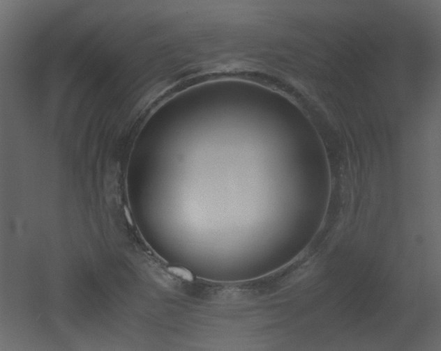 X0000051911265200506241433