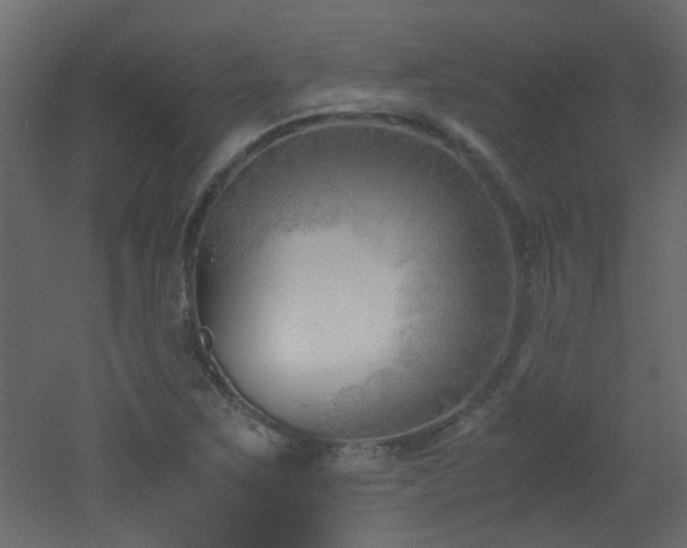 X0000051911267200506241433