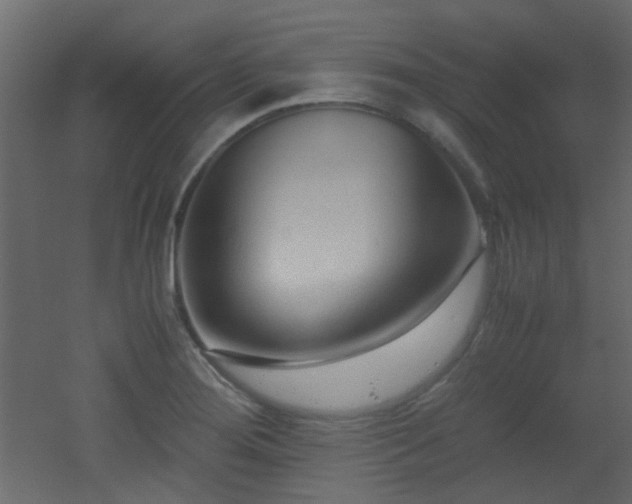 X0000051911276200506241433