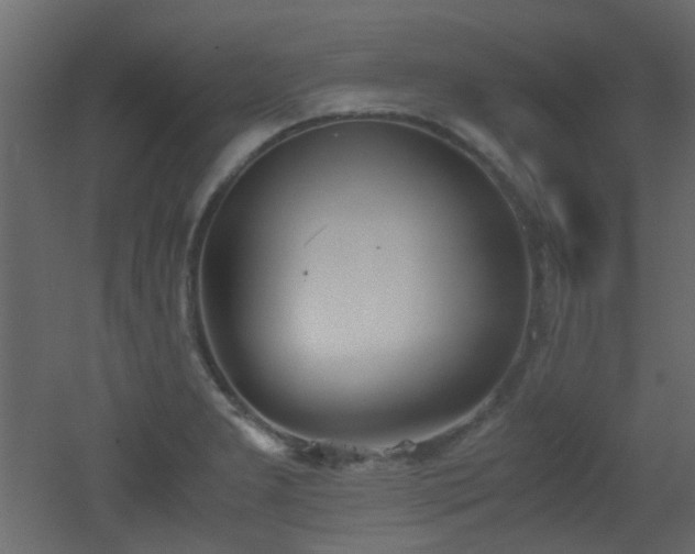 X0000051911277200506241433