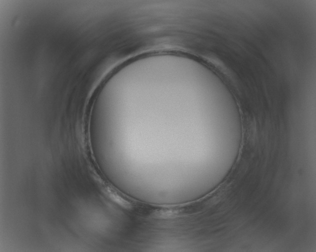 X0000051911278200506241433