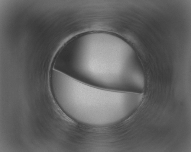 X0000051911280200506241433