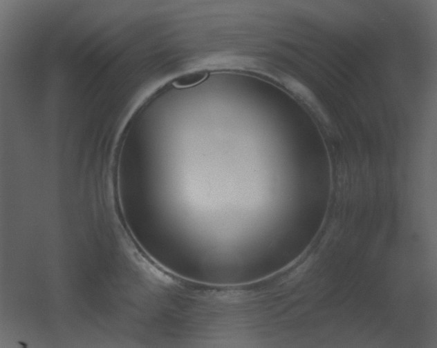 X0000051911288200506241433
