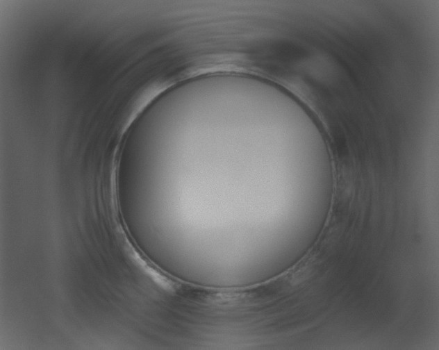 X0000051911290200506241433