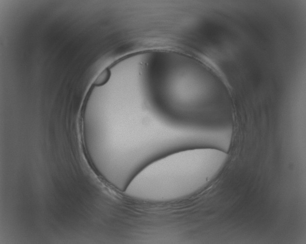 X0000051911291200506241433
