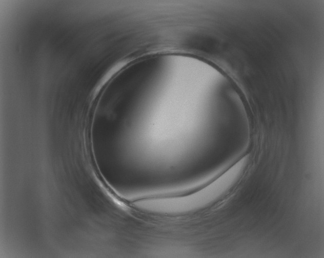 X0000051911293200506241433