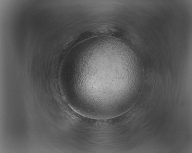 X0000051911297200506241432