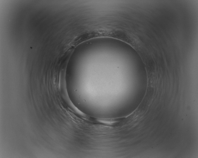 X0000051911298200506241432