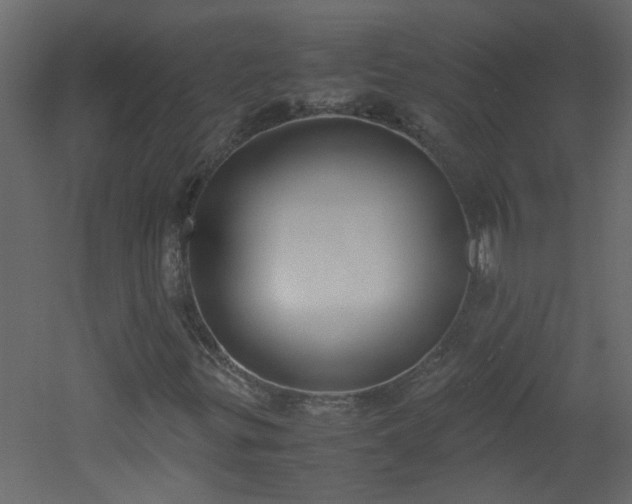 X0000051911299200506241432