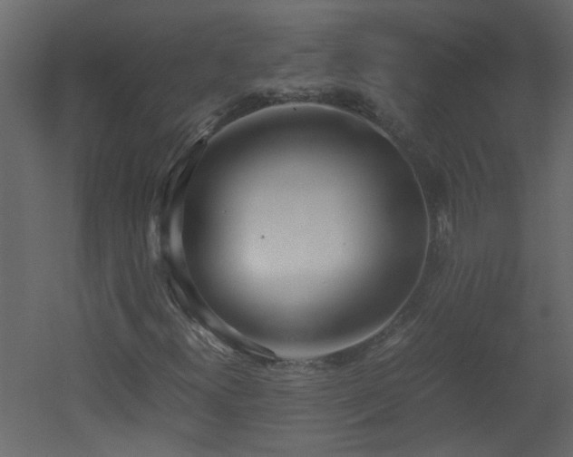 X0000051911300200506241432