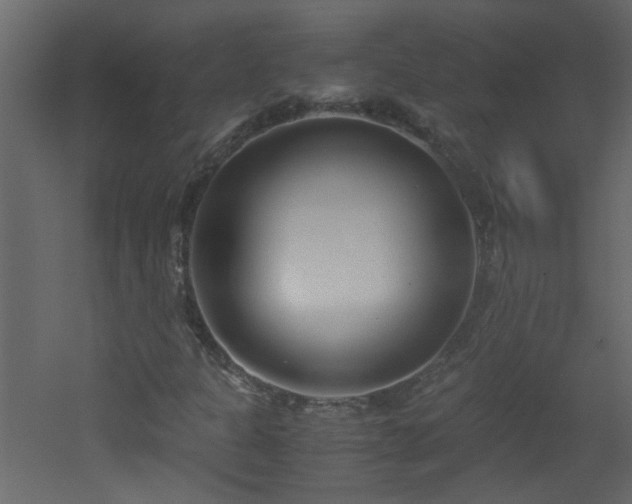X0000051911301200506241432