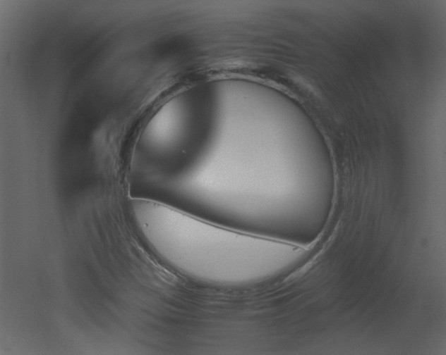 X0000051911305200506241432
