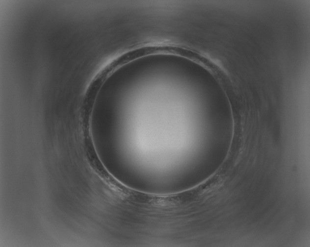 X0000051911311200506241432