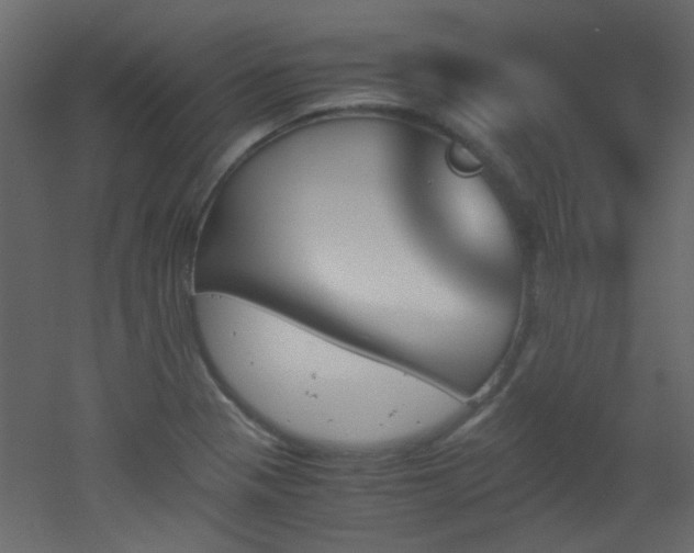 X0000051911321200506241433