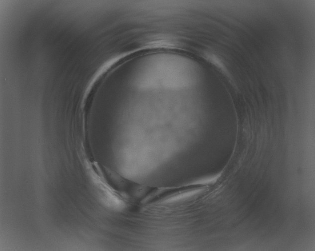 X0000051911323200506241433
