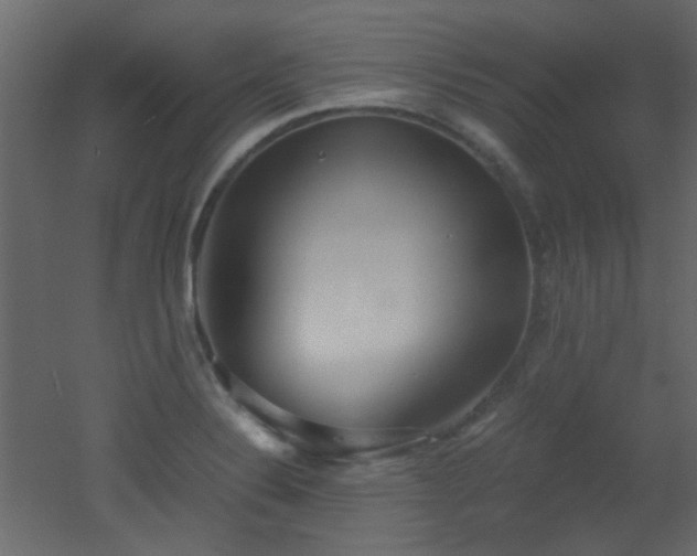 X0000051911324200506241433