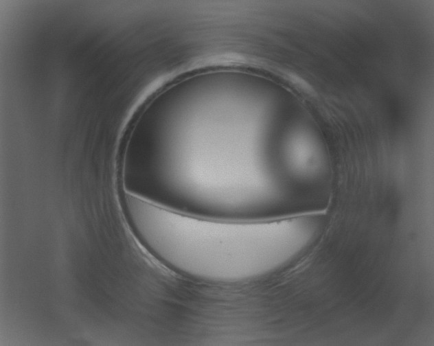 X0000051911326200506241433
