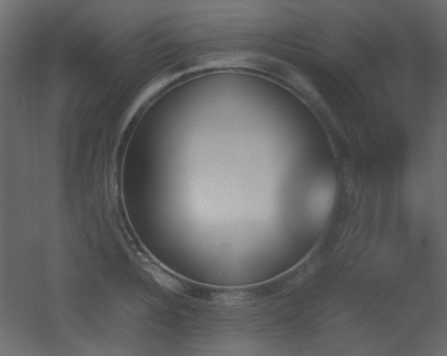 X0000051911328200506241433