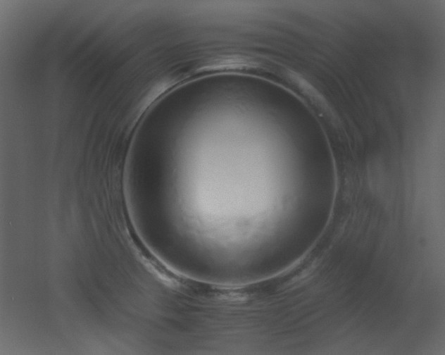 X0000051911329200506241433