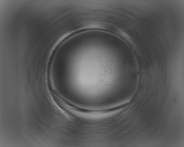 X0000051911331200506241433