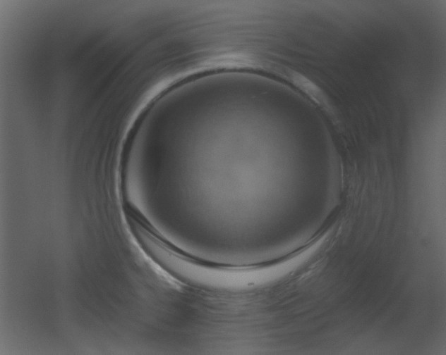 X0000051911334200506241433