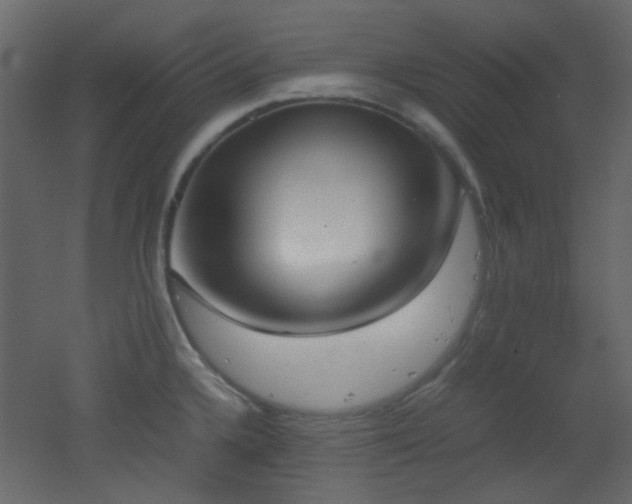X0000051911336200506241433