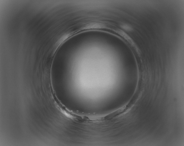 X0000051911337200506241433