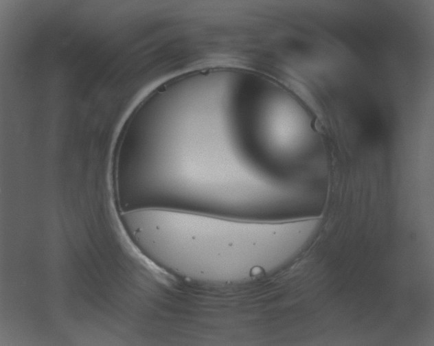 X0000051911339200506241433