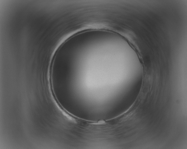 X0000051911343200506241433