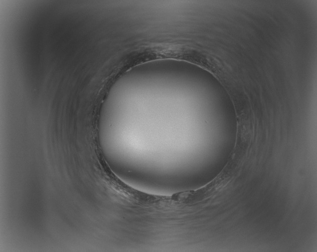 X0000051911345200506241432
