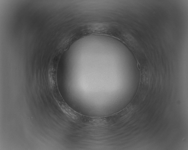 X0000051911346200506241432
