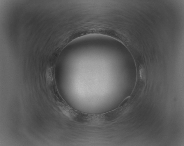 X0000051911347200506241432