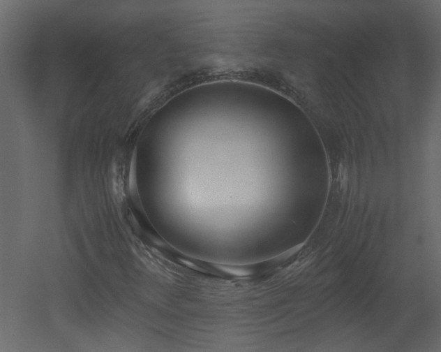 X0000051911348200506241432