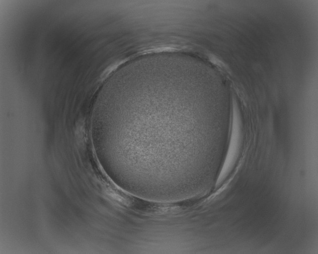 X0000051911353200506241432