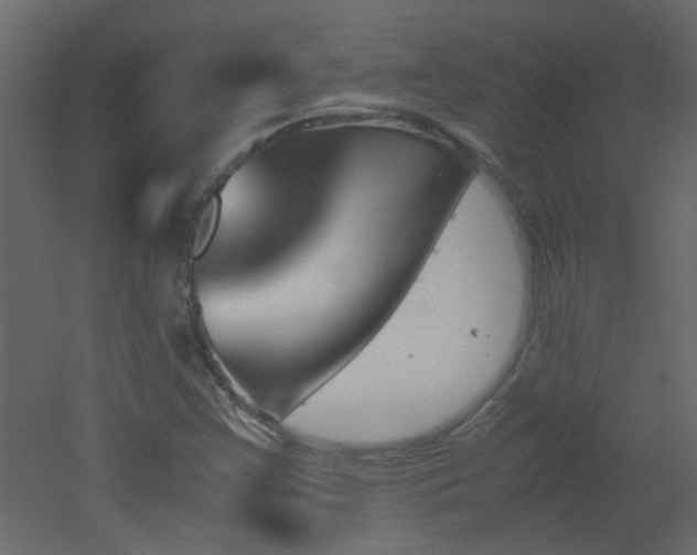 X0000051911355200506241432