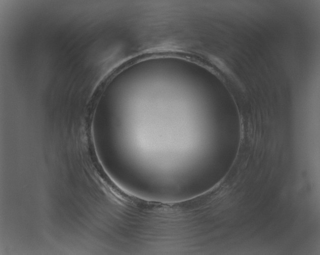 X0000051911356200506241432