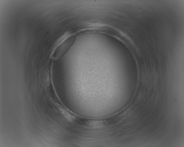 X0000051911362200506241432