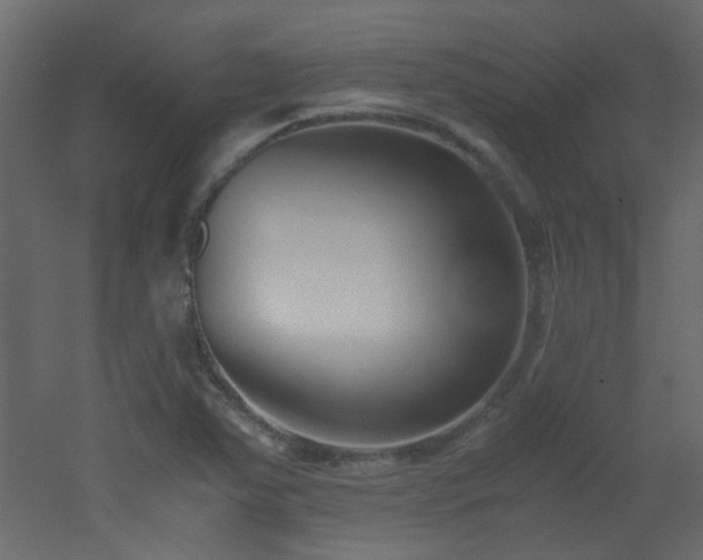 X0000051911363200506241432